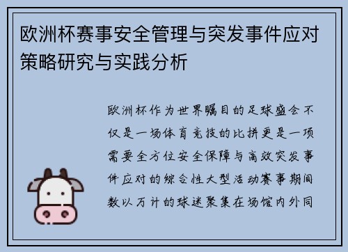 欧洲杯赛事安全管理与突发事件应对策略研究与实践分析
