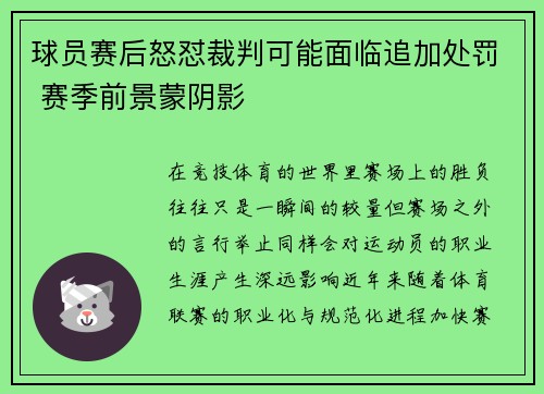 球员赛后怒怼裁判可能面临追加处罚 赛季前景蒙阴影