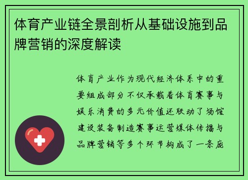 体育产业链全景剖析从基础设施到品牌营销的深度解读